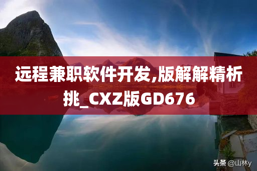 远程兼职软件开发,版解解精析挑_CXZ版GD676