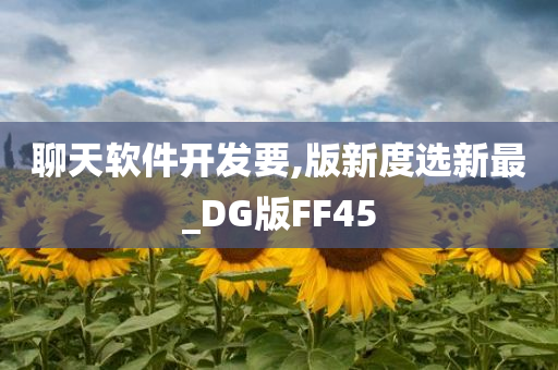 聊天软件开发要,版新度选新最_DG版FF45