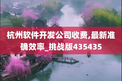 杭州软件开发公司收费,最新准确效率_挑战版435435