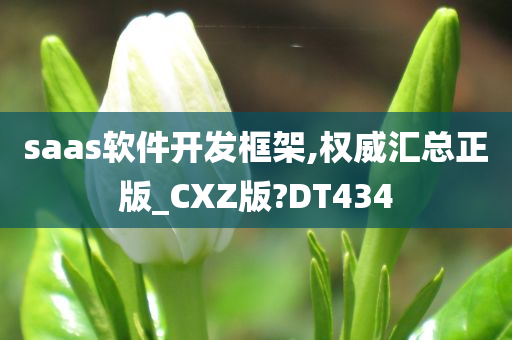 saas软件开发框架,权威汇总正版_CXZ版?DT434