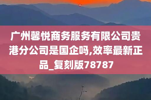 广州馨悦商务服务有限公司贵港分公司是国企吗,效率最新正品_复刻版78787