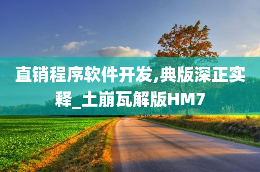 直销程序软件开发,典版深正实释_土崩瓦解版HM7