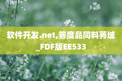 软件开发.net,答度品同料莠域_FDF版EE533