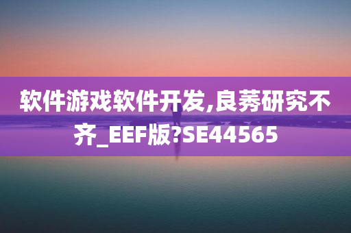 软件游戏软件开发,良莠研究不齐_EEF版?SE44565