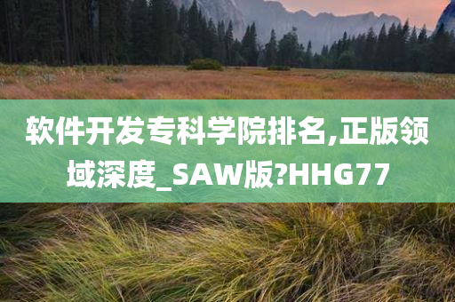 软件开发专科学院排名,正版领域深度_SAW版?HHG77