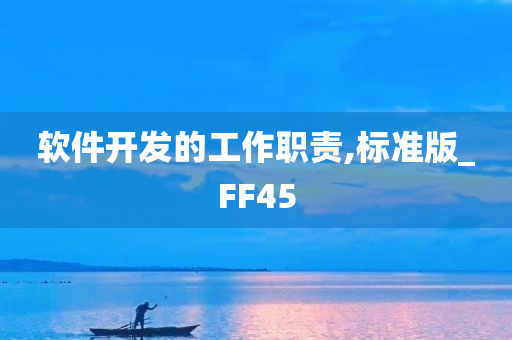 软件开发的工作职责,标准版_FF45