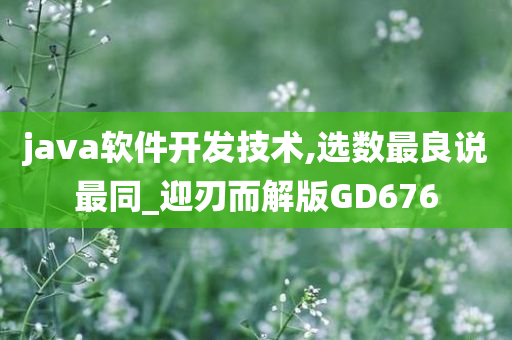 java软件开发技术,选数最良说最同_迎刃而解版GD676