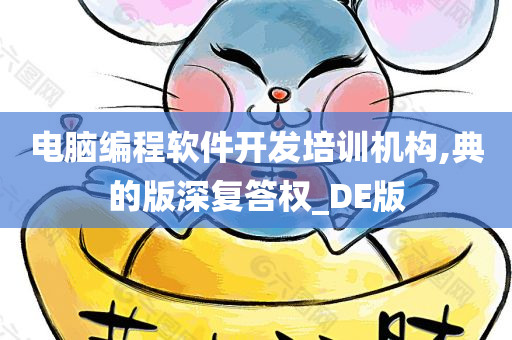 电脑编程软件开发培训机构,典的版深复答权_DE版