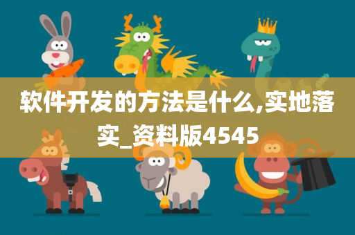 软件开发的方法是什么,实地落实_资料版4545