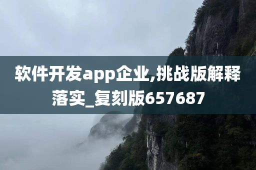 软件开发app企业,挑战版解释落实_复刻版657687