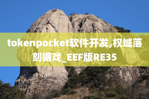 tokenpocket软件开发,权域落刻据戏_EEF版RE35