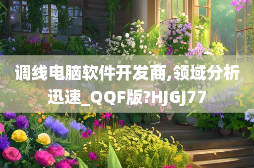 调线电脑软件开发商,领域分析迅速_QQF版?HJGJ77