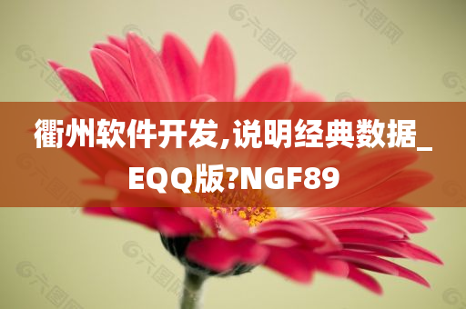 衢州软件开发,说明经典数据_EQQ版?NGF89