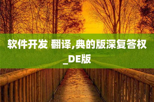 软件开发 翻译,典的版深复答权_DE版