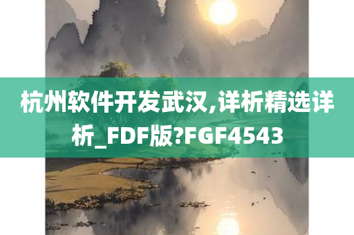 杭州软件开发武汉,详析精选详析_FDF版?FGF4543