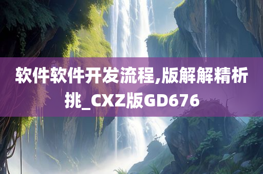 软件软件开发流程,版解解精析挑_CXZ版GD676