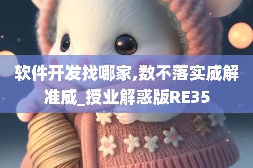 软件开发找哪家,数不落实威解准威_授业解惑版RE35