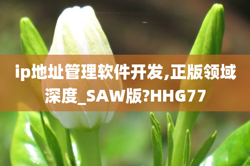 ip地址管理软件开发,正版领域深度_SAW版?HHG77