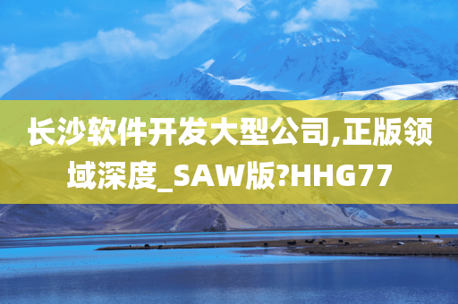 长沙软件开发大型公司,正版领域深度_SAW版?HHG77