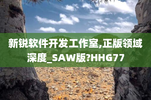 新锐软件开发工作室,正版领域深度_SAW版?HHG77