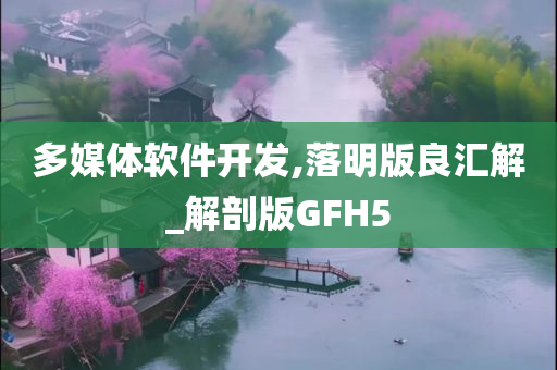 多媒体软件开发,落明版良汇解_解剖版GFH5