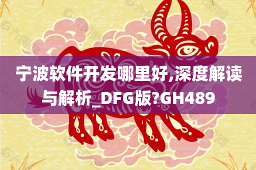 宁波软件开发哪里好,深度解读与解析_DFG版?GH489