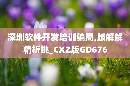 深圳软件开发培训骗局,版解解精析挑_CXZ版GD676