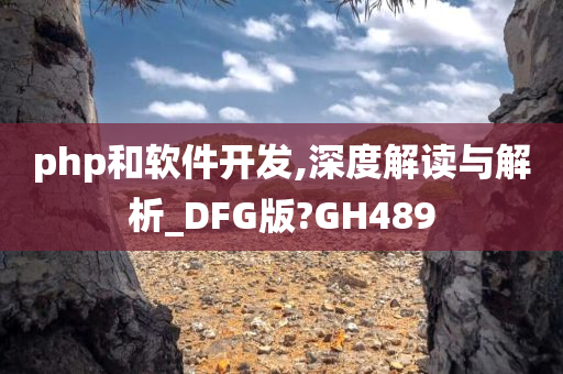 php和软件开发,深度解读与解析_DFG版?GH489