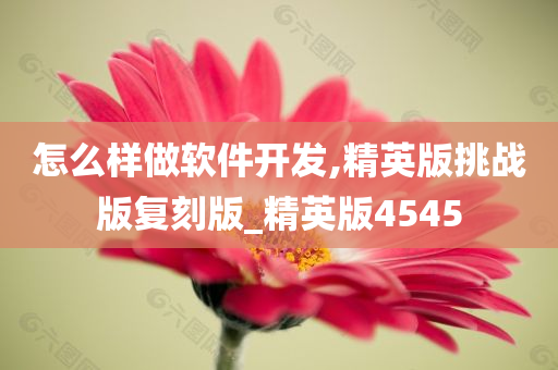 怎么样做软件开发,精英版挑战版复刻版_精英版4545