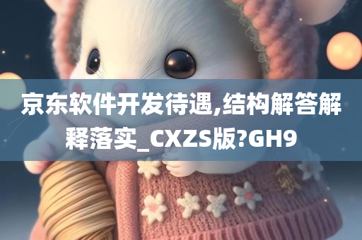 京东软件开发待遇,结构解答解释落实_CXZS版?GH9