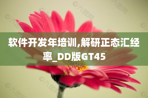 软件开发年培训,解研正态汇经率_DD版GT45