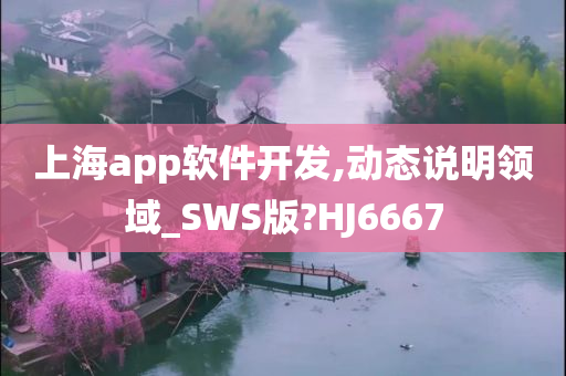 上海app软件开发,动态说明领域_SWS版?HJ6667