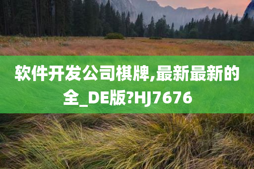 软件开发公司棋牌,最新最新的全_DE版?HJ7676