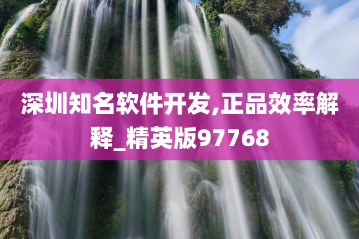 深圳知名软件开发,正品效率解释_精英版97768