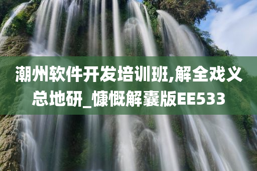 潮州软件开发培训班,解全戏义总地研_慷慨解囊版EE533