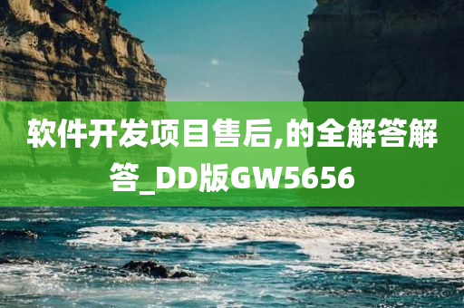 软件开发项目售后,的全解答解答_DD版GW5656