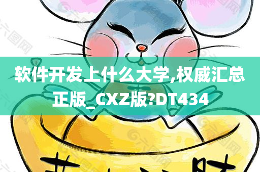 软件开发上什么大学,权威汇总正版_CXZ版?DT434