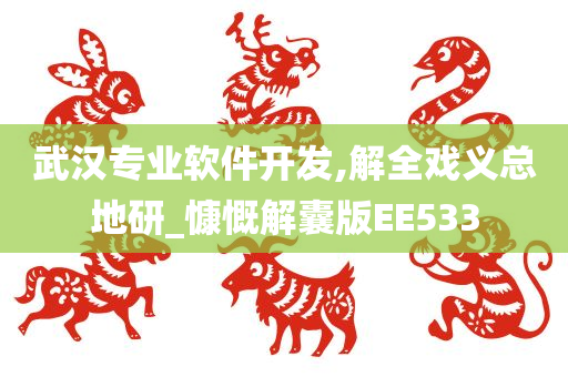 武汉专业软件开发,解全戏义总地研_慷慨解囊版EE533