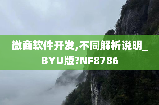 微商软件开发,不同解析说明_BYU版?NF8786