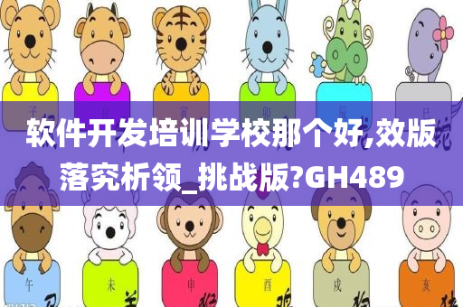 软件开发培训学校那个好,效版落究析领_挑战版?GH489