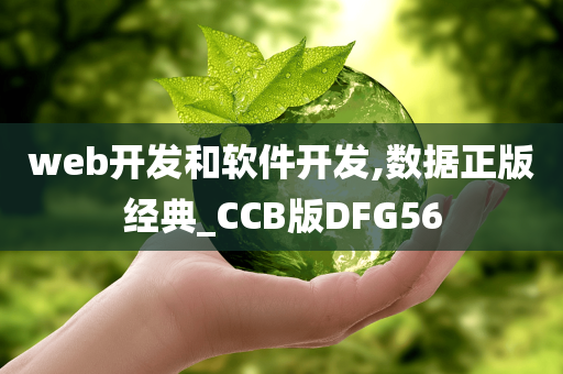 web开发和软件开发,数据正版经典_CCB版DFG56