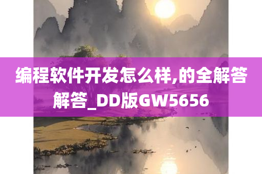 编程软件开发怎么样,的全解答解答_DD版GW5656