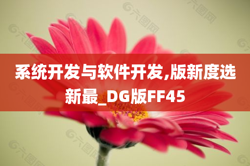 系统开发与软件开发,版新度选新最_DG版FF45