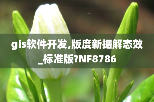 gis软件开发,版度新据解态效_标准版?NF8786