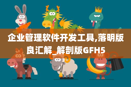 企业管理软件开发工具,落明版良汇解_解剖版GFH5