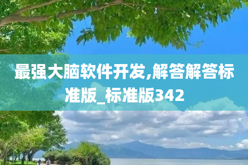 最强大脑软件开发,解答解答标准版_标准版342