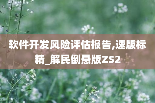 软件开发风险评估报告,速版标精_解民倒悬版ZS2