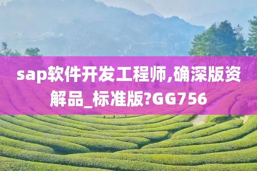 sap软件开发工程师,确深版资解品_标准版?GG756