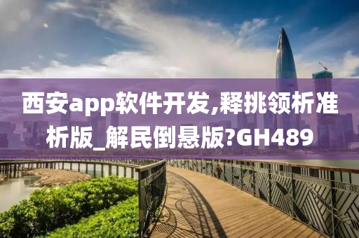 西安app软件开发,释挑领析准析版_解民倒悬版?GH489