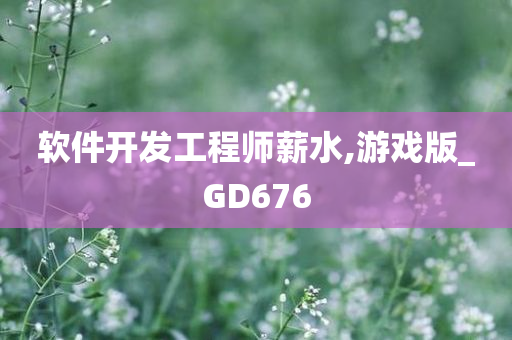 软件开发工程师薪水,游戏版_GD676